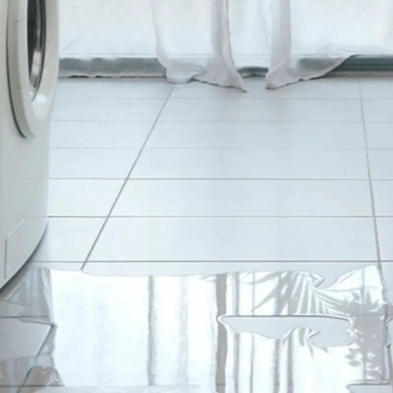 Appliance Leak Cleanup in Escanaba, MI