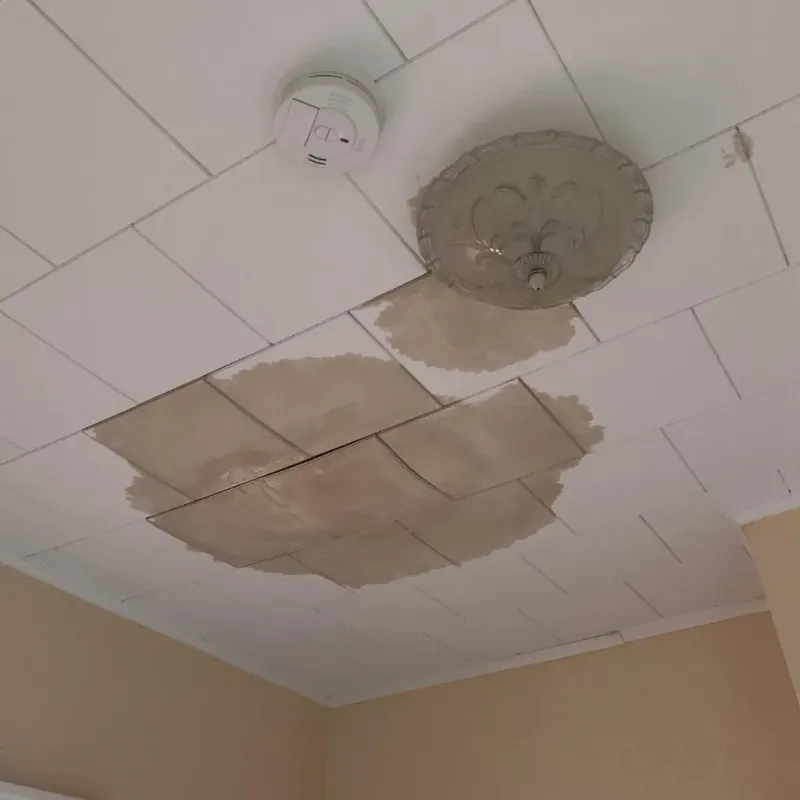 Ceiling Water Damage Repair in Escanaba, MI